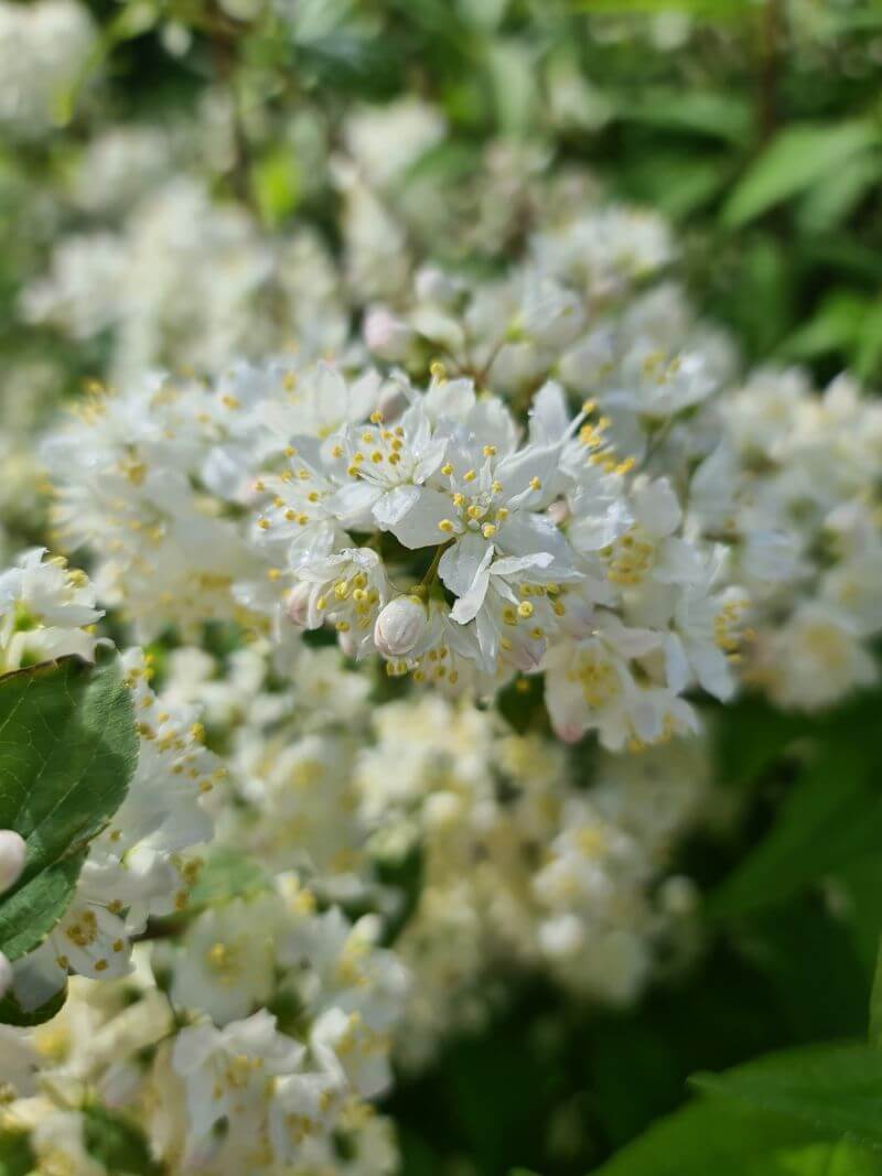 Koled Atkal Kl t Ir Valsts Eks menu Laiks RSU Sarkan Krusta Koled Atkal Kl t Ir Valsts Eks menu Laiks RSU Sarkan Krusta